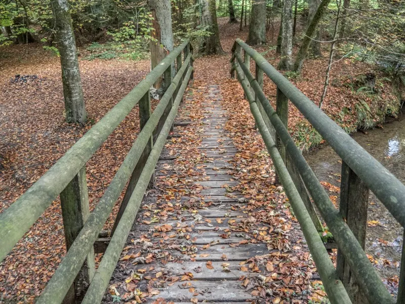 Passerelle piétonne sur le Talent, entre Morrens et Bretigny-sur-Morrens